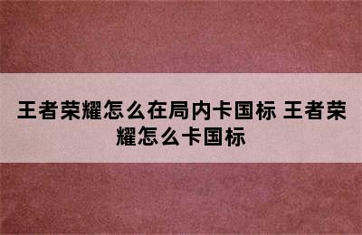 王者荣耀怎么在局内卡国标 王者荣耀怎么卡国标